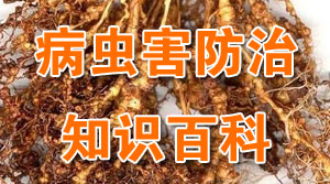 病蟲害防治知識