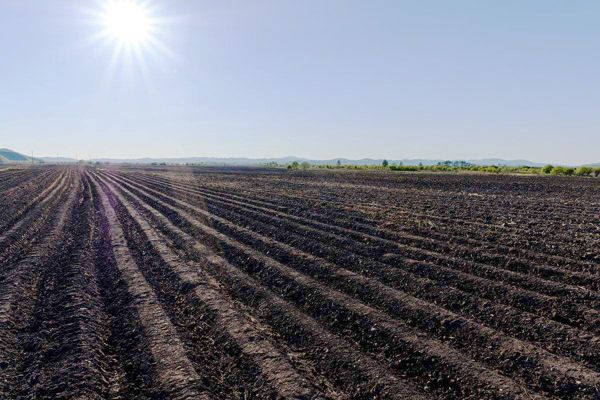 除草劑如何有效降解