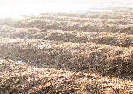 秸稈肥發酵技術