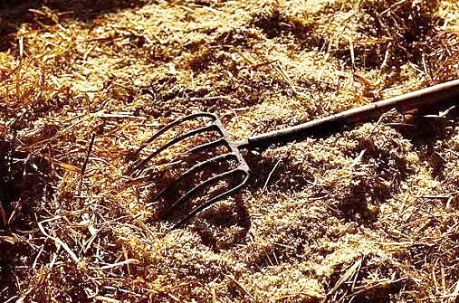 秸稈發酵時如何選擇秸稈青貯發酵劑