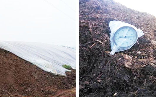 牛糞堆肥發(fā)酵技術(shù)要點(diǎn)