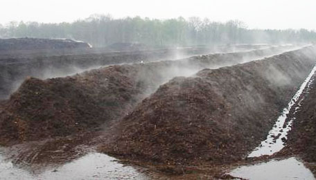 豬糞發酵過程分為哪幾個階段？