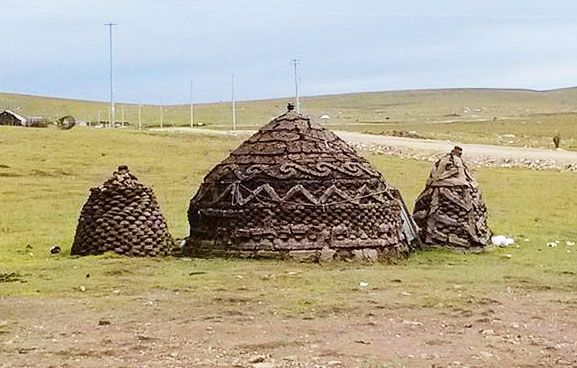 牛糞發(fā)酵有機(jī)肥有哪些用途