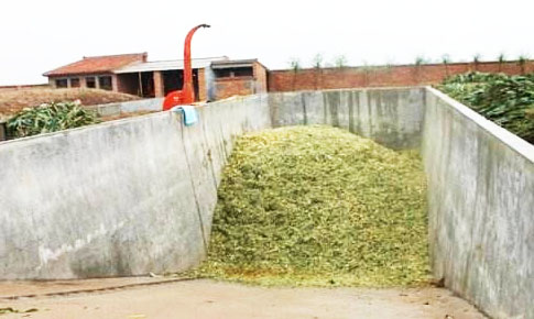 秸稈堆肥發酵具體有哪些作用呢？