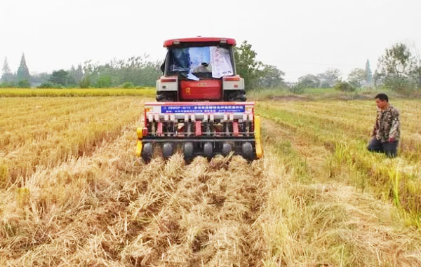 水稻秸稈綜合利用技術有哪些？