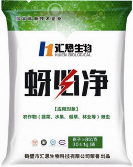 蚜蟲防治藥劑_蚜必凈輕松解決蚜蟲問題