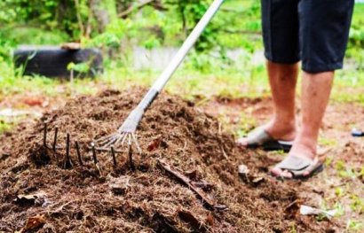 枯草芽孢桿菌如何使用