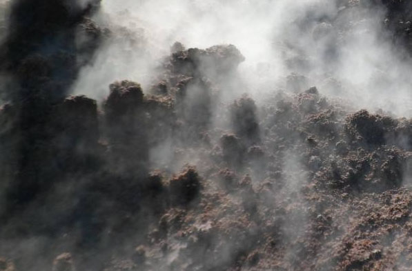 堆肥發酵過程的兩個階段
