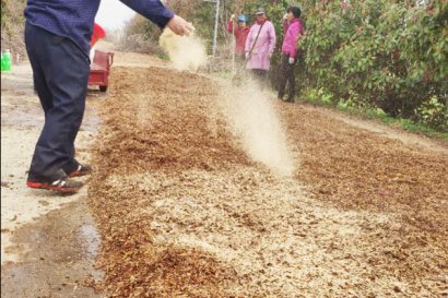 菌糠如何發酵成有機肥