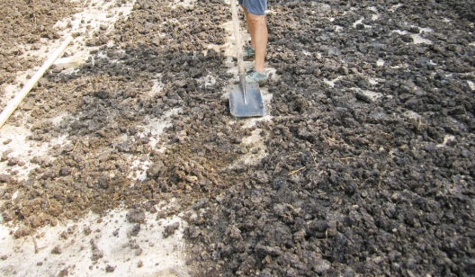 雞糞如何發(fā)酵成有機(jī)肥