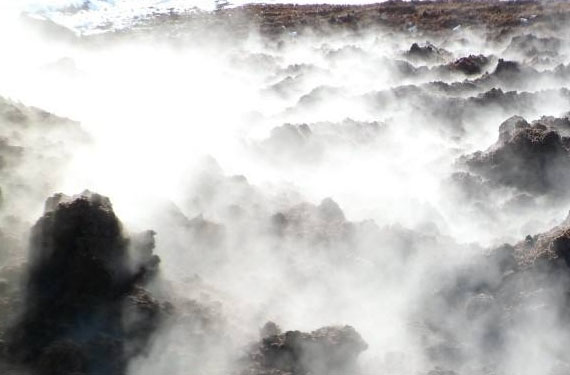 城市生活垃圾如何發酵利用