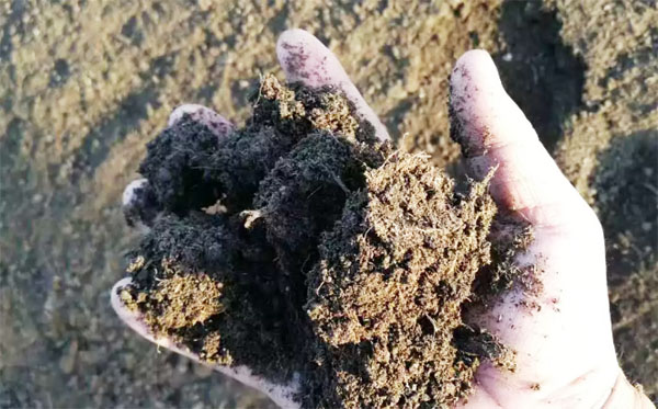 雞糞可以自然發酵為何還要使用發酵劑呢？