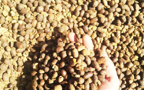 羊糞有機肥如何發酵