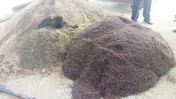 畜禽糞便發(fā)酵有機肥常見問題及解決方法