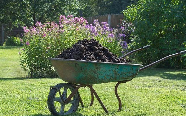 為什么鮮雞糞做農家肥使用前必須進行發酵