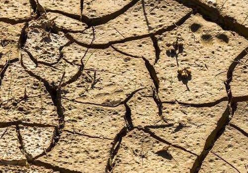 如何應對重茬等土傳病害？