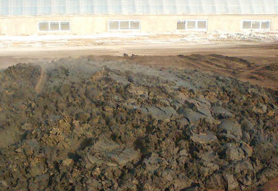 牛糞通過發酵制作的有機肥詳細步驟