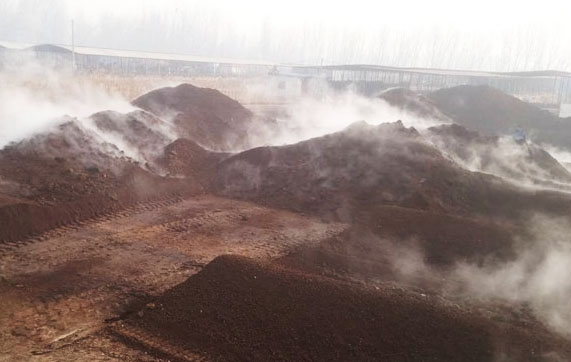 發酵羊糞有機肥需要注意哪些？