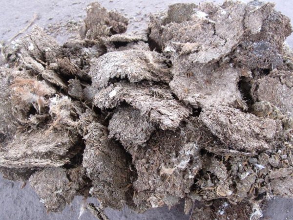 發酵雞糞制作有機肥詳細步驟與注意事項