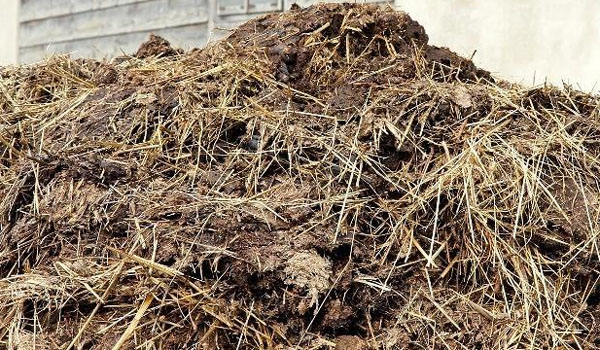 有機(jī)肥發(fā)酵時(shí)應(yīng)該選擇好氧發(fā)酵還是厭氧發(fā)酵