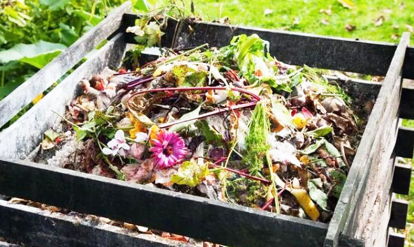 生活垃圾做有機肥過程中為什么會長灰白毛毛？