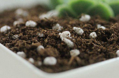 生物有機(jī)肥發(fā)酵過(guò)程中“長(zhǎng)毛”好不好