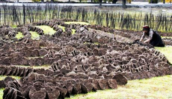 牛糞如何發酵腐熟？