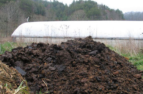 牛糞如何發酵腐熟？