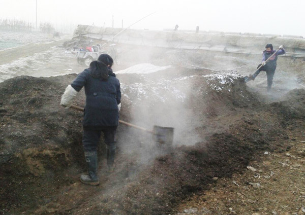 牛糞快速發酵有機肥的操作步驟