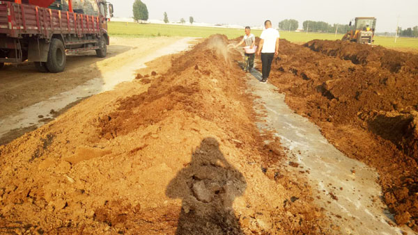 未經(jīng)發(fā)酵處理的牛糞有哪些壞處