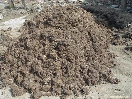 生物菌發酵牛糞做有機肥有哪些好處？