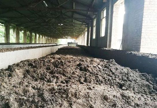 豬糞發酵處理工藝技術