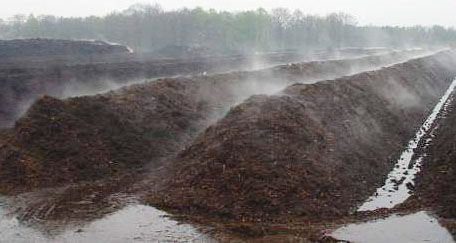 如何發(fā)酵豬糞做有機(jī)肥