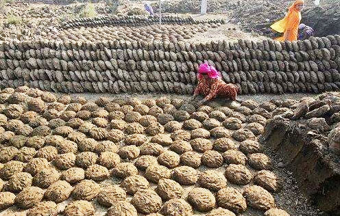 有機肥發(fā)酵方式有幾種類型