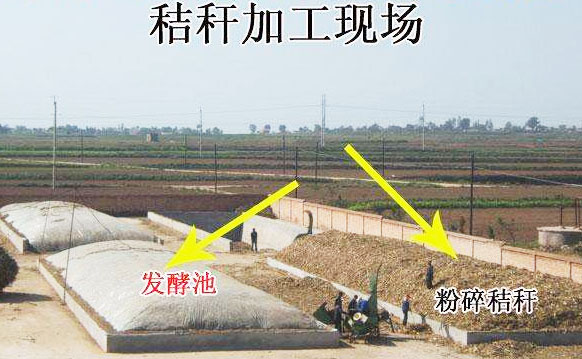 秸稈有機(jī)肥發(fā)酵有哪些方式