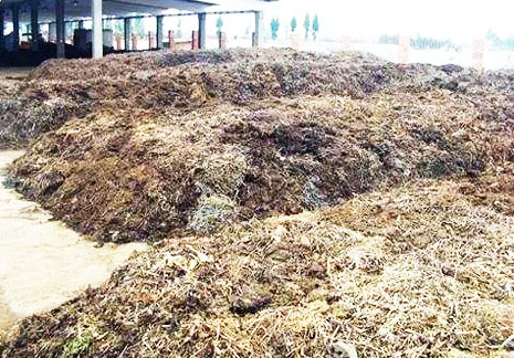 秸稈有機(jī)肥發(fā)酵有哪些方式