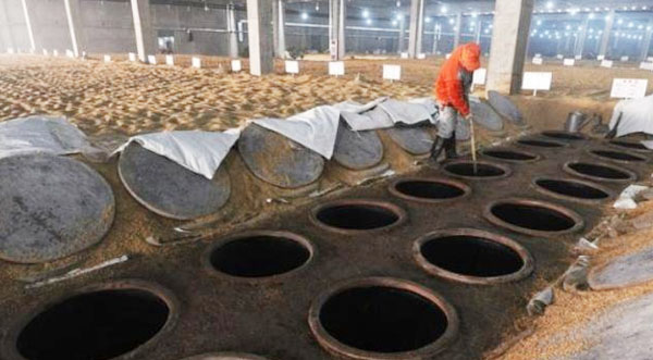 沼氣厭氧發酵法