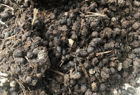 發(fā)酵后的羊糞有機(jī)肥有哪些優(yōu)點(diǎn)？