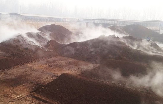 發(fā)酵后的羊糞有機(jī)肥有哪些優(yōu)點(diǎn)？