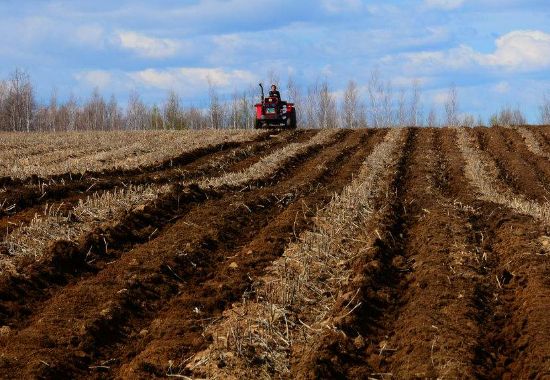 雞糞怎么發(fā)酵有哪些用途