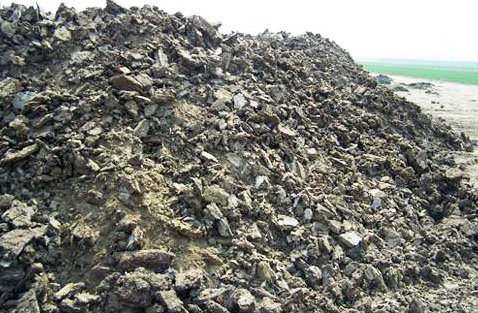 未經發酵和腐熟的干雞糞如何使用？