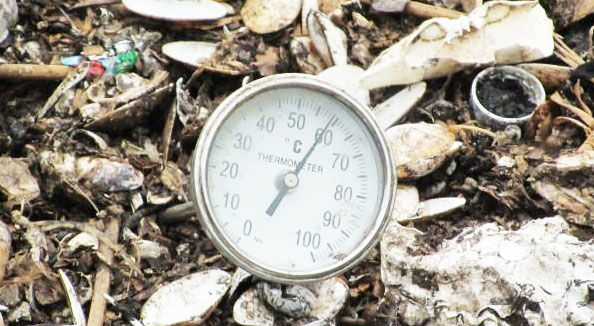 使用未經(jīng)發(fā)酵的雞糞有機(jī)肥有哪些危害？