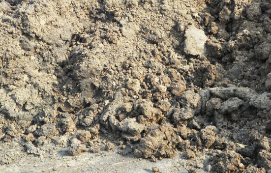 作為農家肥人糞和其他禽類糞便哪個好些