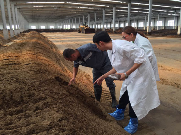 有機肥怎樣發酵才算正確