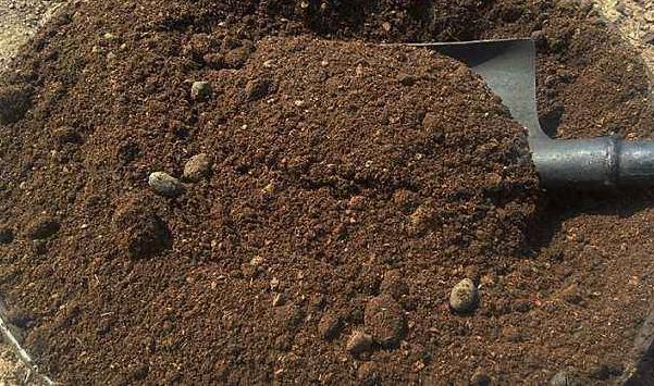 怎么自制羊糞有機(jī)肥