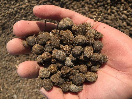 羊糞發(fā)酵方法