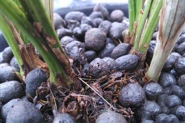 羊糞有機肥的優勢