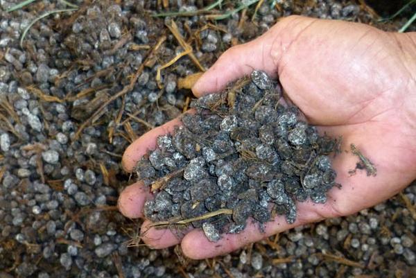 羊糞多少錢一噸