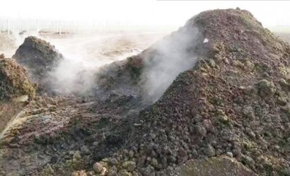 生物菌發酵羊糞有什么好處？