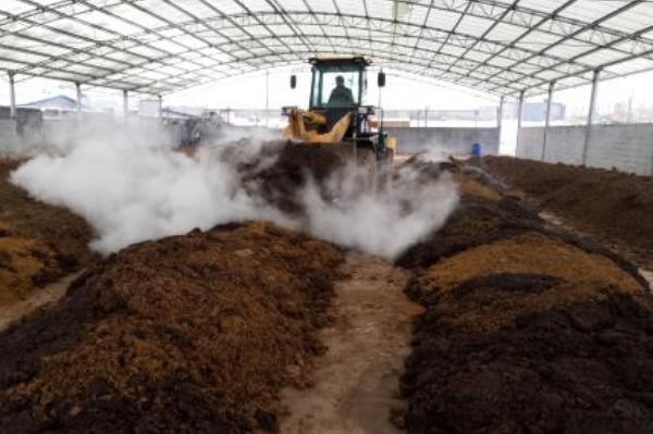 怎么判斷羊糞徹底腐熟了